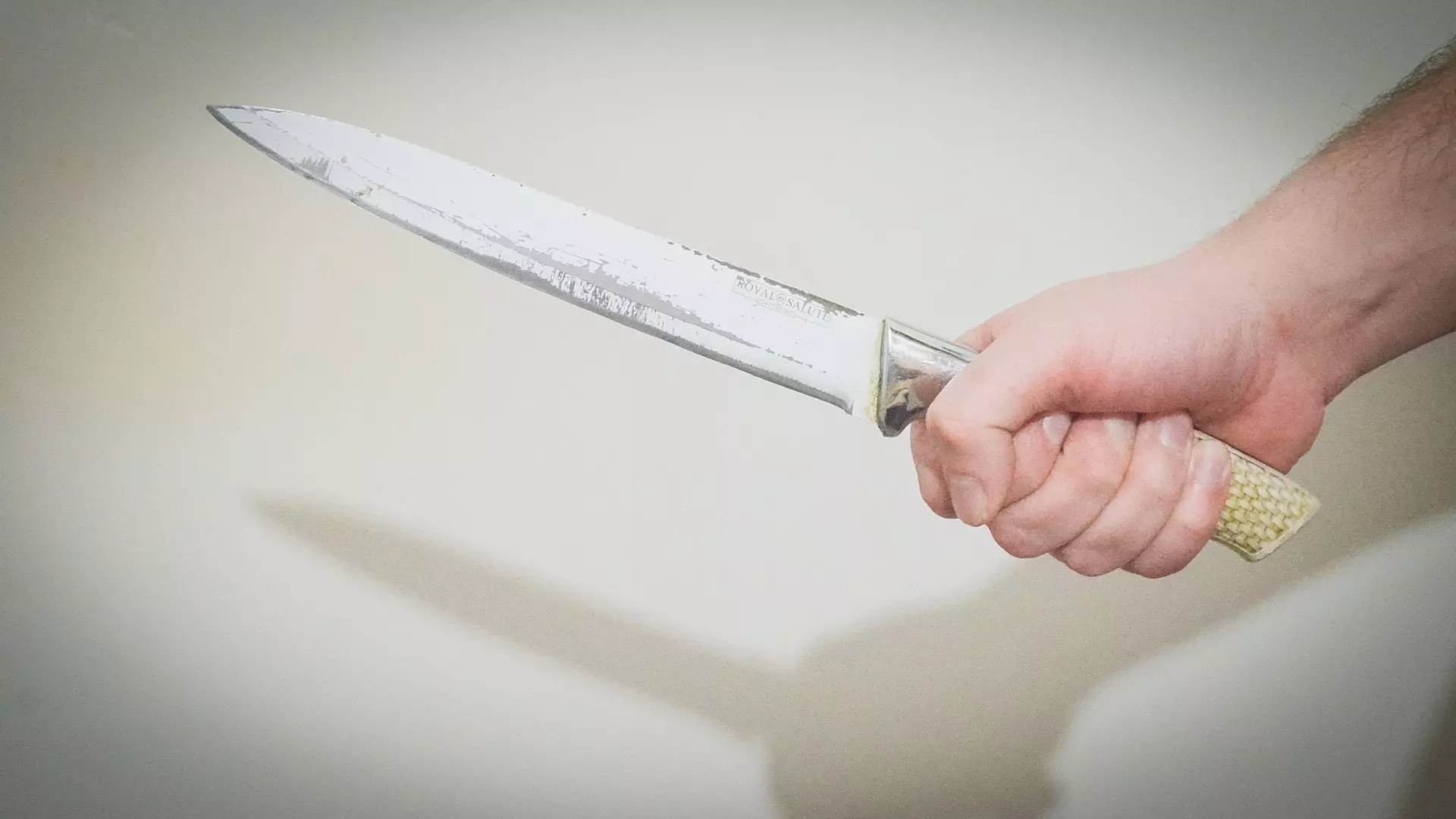 Житель Башкирии набросился с ножом на соседа после того, как тот купил конюшню
